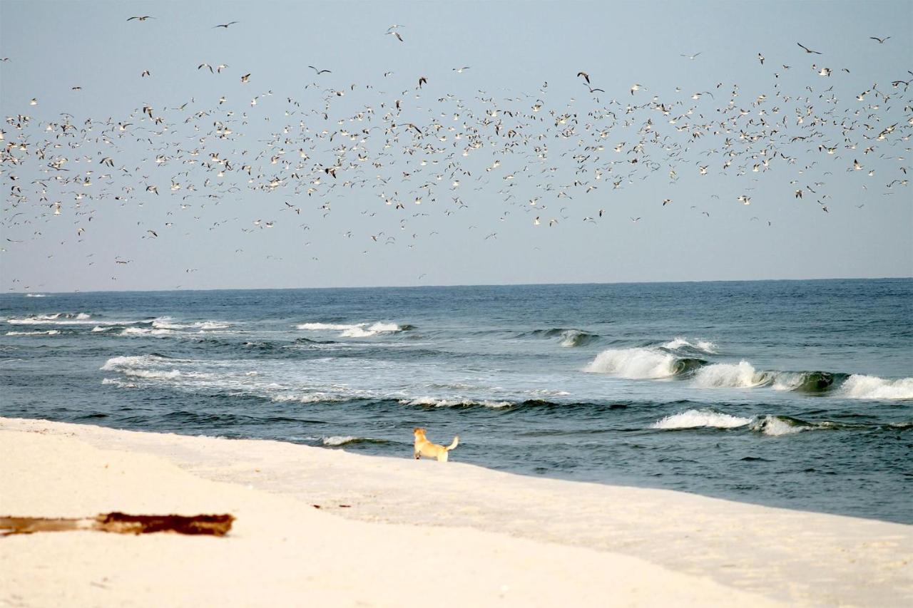 Beach'N'Sea Wohnung 3 Grömitz Exteriér fotografie